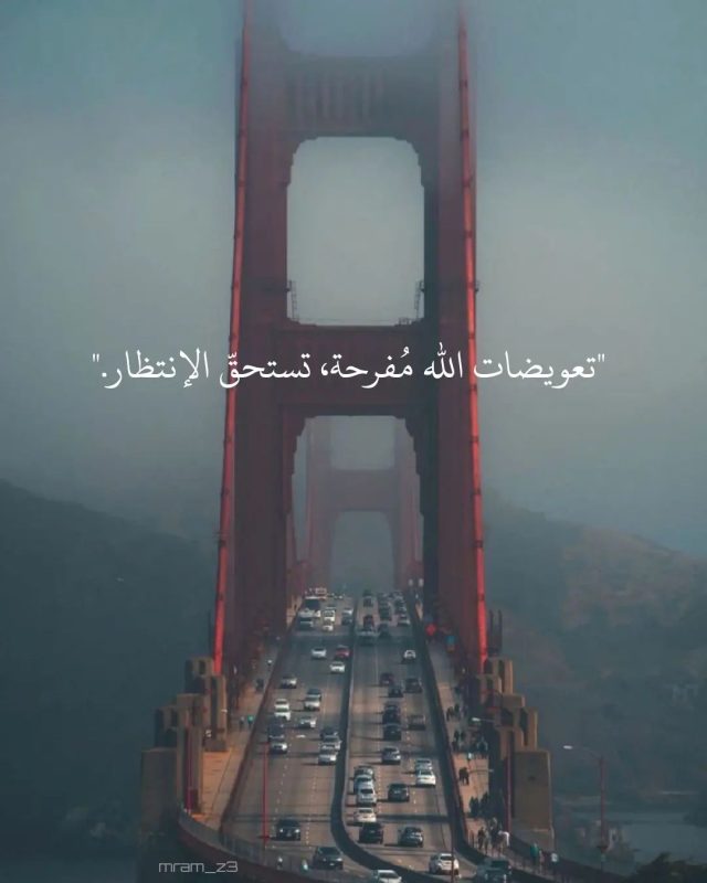 صور رمزيات منوعة 2025 2