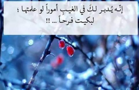 رموز (4)