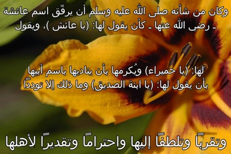 صور إسلامية (2)