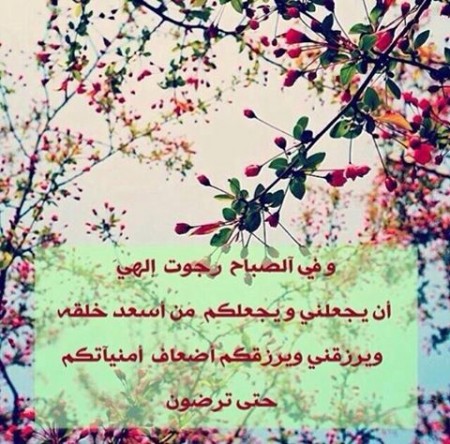 واتس اب أفاتار (3)