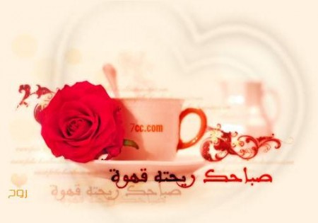 صور الصباح (4)