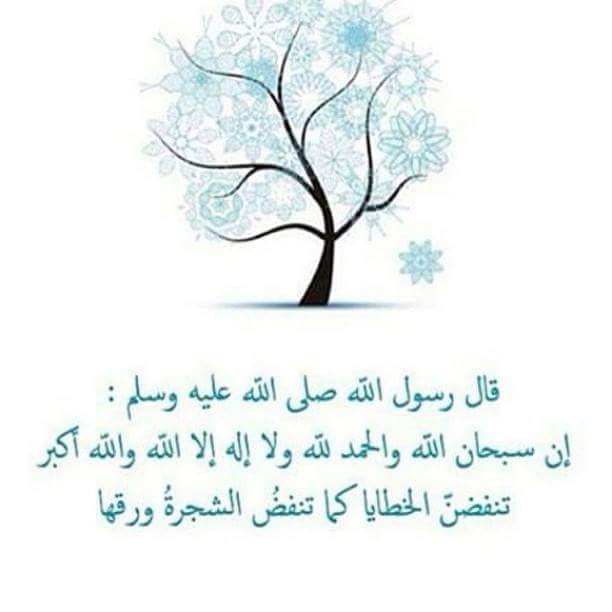 صور الفيسبوك (4)