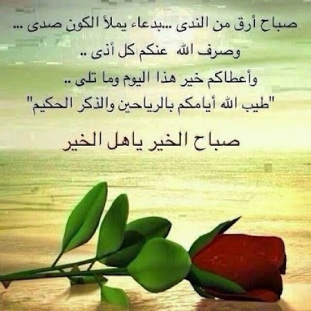 صور (2)