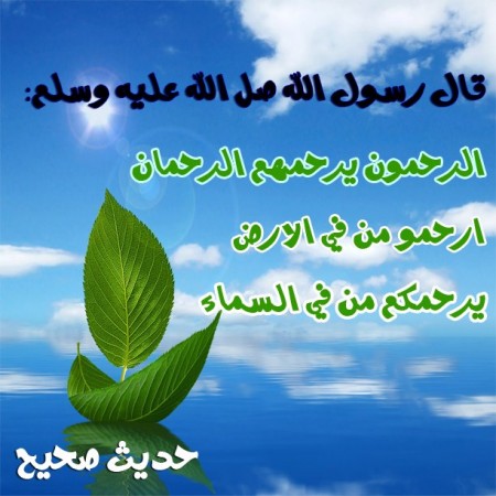 صور (3)