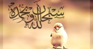صور رمزيات اسلامية ادعية واذكار اسلامية للواتس اب (2)