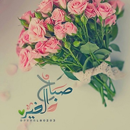 صور الصباح (2)