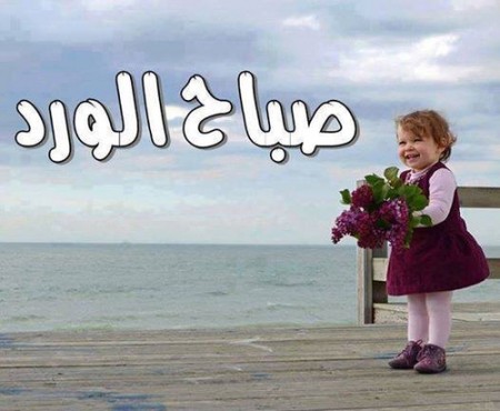 صور الصباح (3)