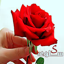 صور رمزية تسمى سلوى (3)