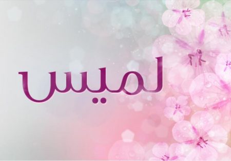 خلفيات باسم لميس (2)