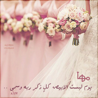 صور باسم مها (2)