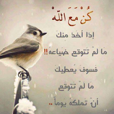 صور للواتس اب (1)