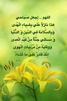 صور صباح الخير (1)