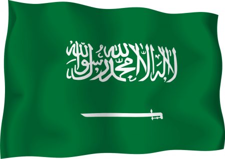 العلم السعودي في صور (2)