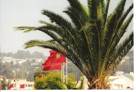 رمزية العلم المغربي (3)