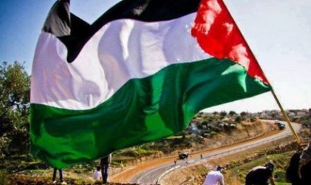 خلفيات العلم الفلسطيني (4)