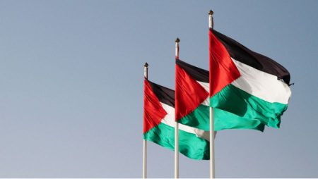 يرفعون العلم الفلسطيني (2)