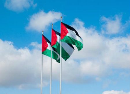 يرفعون العلم الفلسطيني (4)