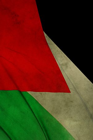 صور العلم الفلسطيني (1)