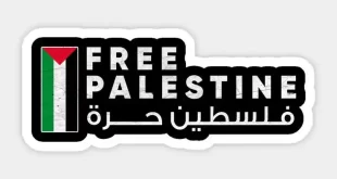 صور علم فلسطين رمزيات علم فلسطين 18