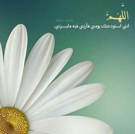 رمزيات كتبت كلام واتس اب 2017 (3)