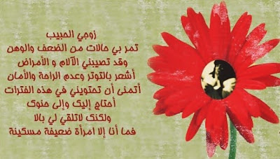 احلى صور الزوج (3)