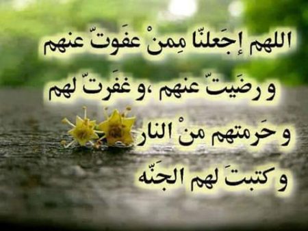 صور دعاء رمزي (1)