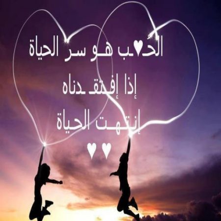 صور عيد الحب 11