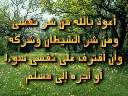 رموز صور الذاكرة وخلفية الألبوم ذاكرة مكتوبة (1)