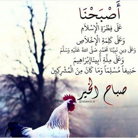 مورننج ميموريز (1)