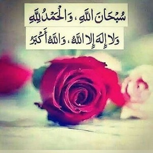 صور الحمد لله (1)