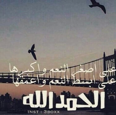 الدين النصيحة - صفحة 65 %D8%B5%D9%88%D8%B1-%D8%B9%D9%86-%D8%A7%D9%84%D8%AD%D9%85%D8%AF