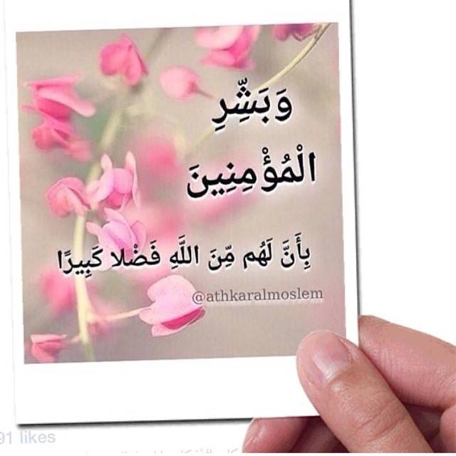 صور من الحياة (3)