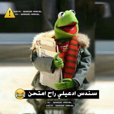 صور WhatsApp مميزة (2)