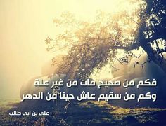 صور رمزية للأمل (2)