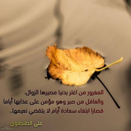 صور واتس اب جميلة (1)