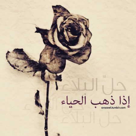 التواضع 4