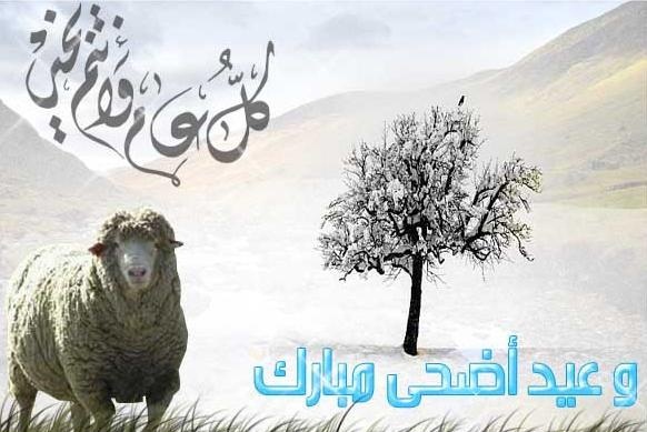 رموز عيد الأضحى 2020 1