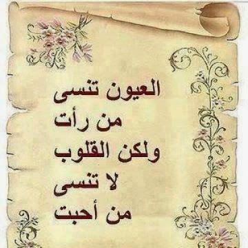 الصور الحاكمة 2