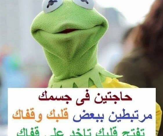 بوستات مضحكة