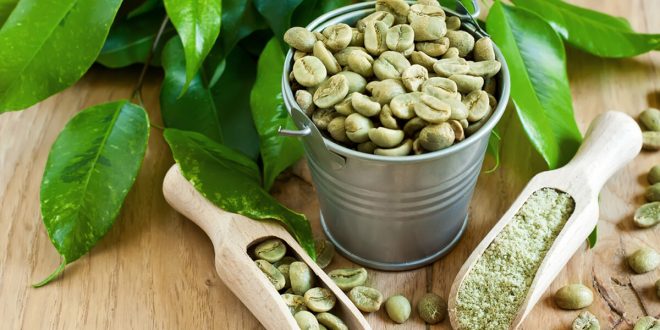 فوائد واضرار القهوة الخضراء
