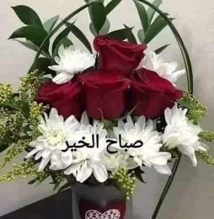 صور صباح الخير 12