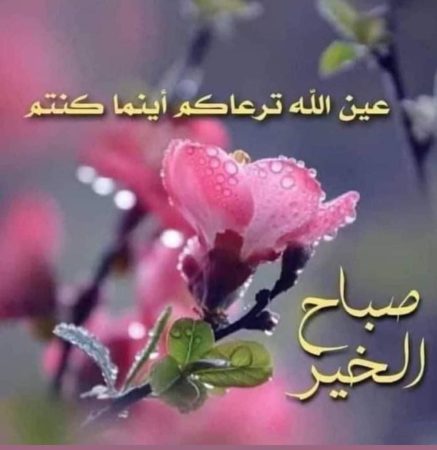 صور صباح الخير 13