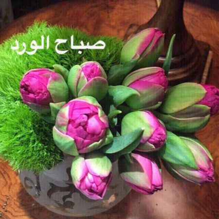 صور صباح الخير 2