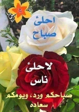 صور صباح الخير 7