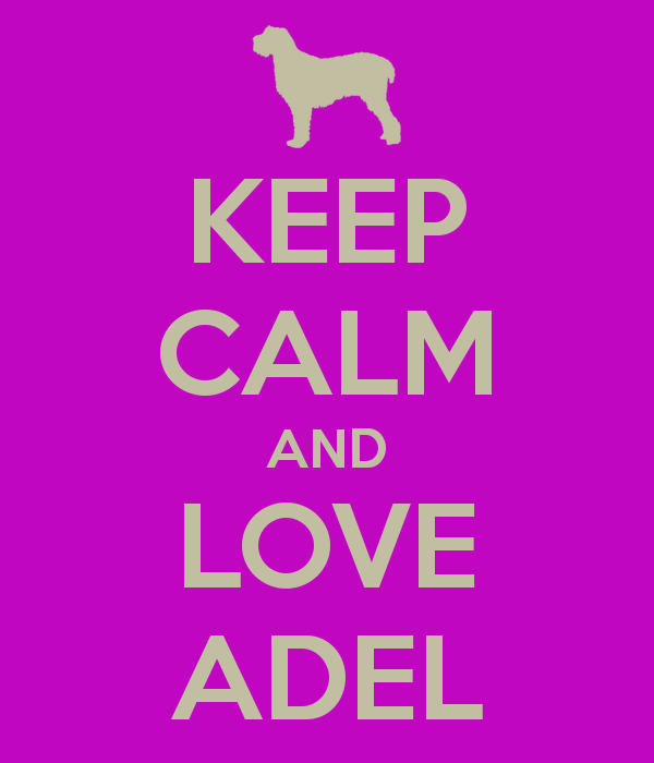 keep calm and love adel 3