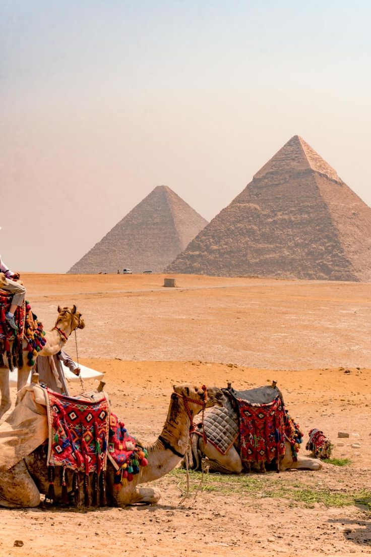 صور الاهرامات في مصر من الخارج Giza Pyramids 15