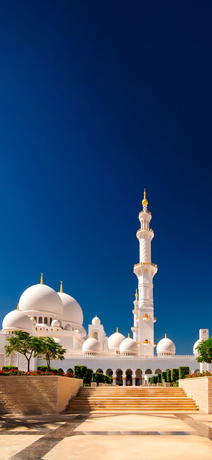 صور خلفيات مساجد 2024 رمزيات مسجد جميل 4