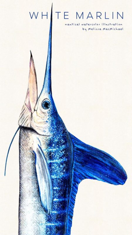 صور سمك التونة رمزيات وخلفيات اسماك التونة 1